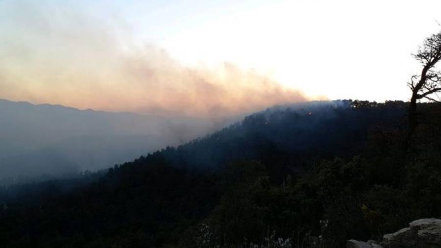 Imatge de l'incendi a la Serra de Senan. FOTO: Bombers