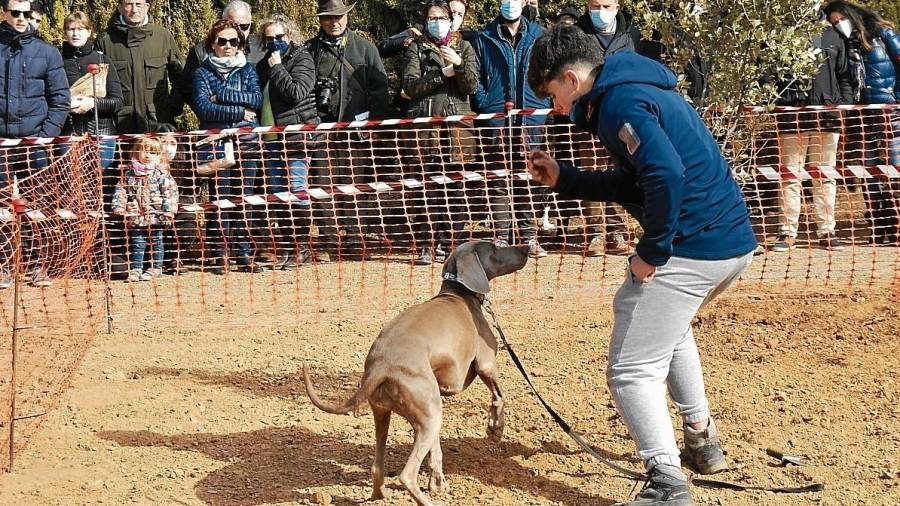 Nil Camps i la Dai, de Cabrils, durant el Concurs de Gossos Tofonaires de Vilanova de Prades. FOTO: MONTSE PLANA