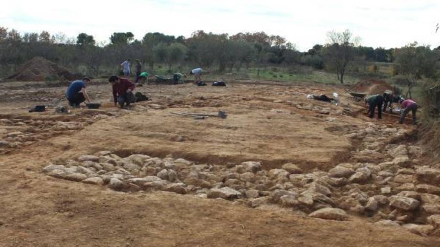 Excavación en una zona del asentamiento.