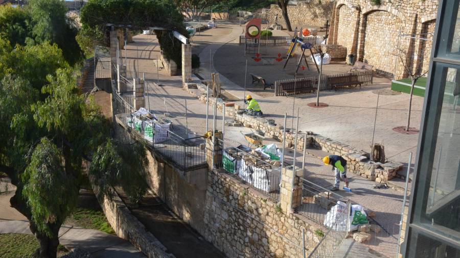 Los operarios de la Brigada d'Intervenció Ràpida en el Parc de les Granotes de Tarragona.