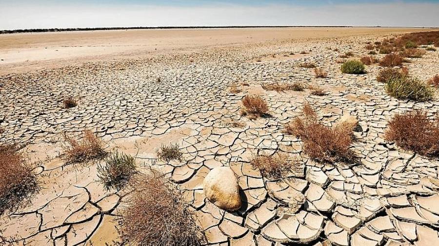 Según la FAO, cada año se pierden en el mundo 24.000 millones de toneladas de suelo y degradación de las tierras secas. FOTO: Getty Images