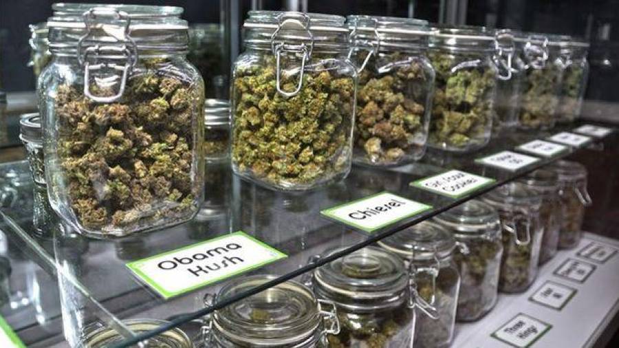 Los clubs de cannabis deberán cumplir exigencias específicas en Calafell.