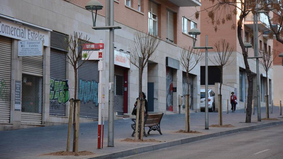 Arbres plantats a l'avinguda Rovira i Virgili. FOTO: Aj. Tarragona