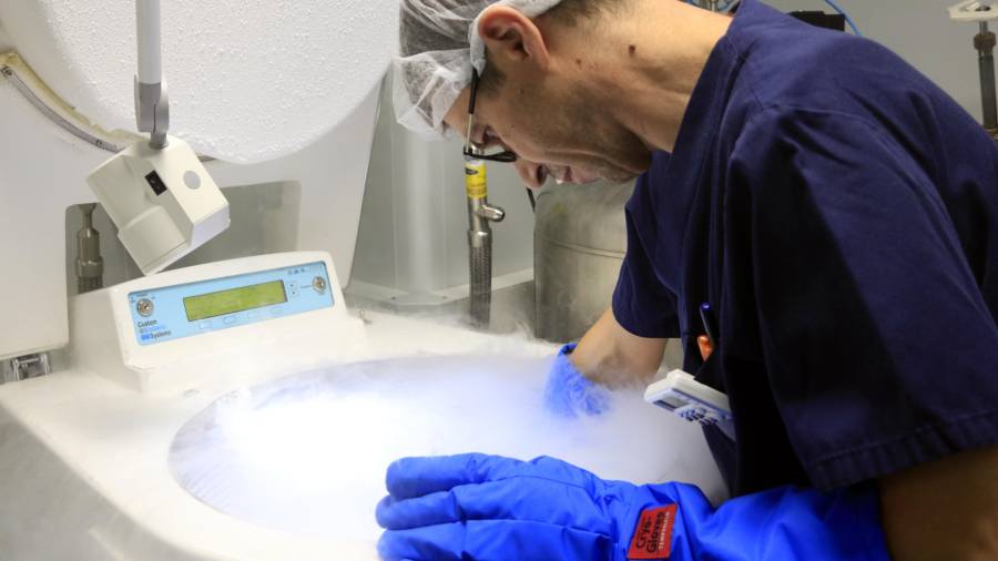 El responsable del Laboratorio de Criopreservación de Dexeus Dona, Miquel Solé, en uno de los tanques donde se conservan los óvulos en nitrógeno líquido. Foto: ACN