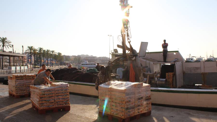 Los pescadores ya saben a qué precio venderán el género antes de llegar a puerto, gracias al acuerdo al que se llegó con Mercadona.