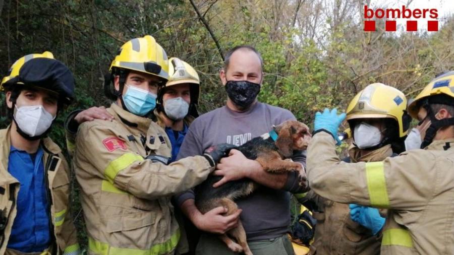 Los bomberos rescatan a un perro que había caído a un pozo en Vilallonga del Camp. Foto: Bombers Generalitat