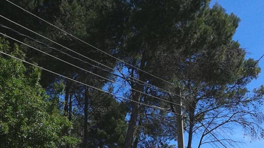 Endesa ha finalitzat les tasques de renovació de part de la xarxa elèctrica de baixa tensió.