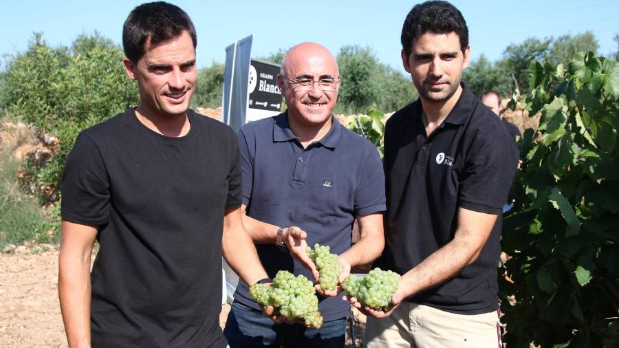 Vicenç Ferré, president de la DO Tarragona; Òscar Peris, regidor de Valls, i Roger Soler. FOTO: A.T.