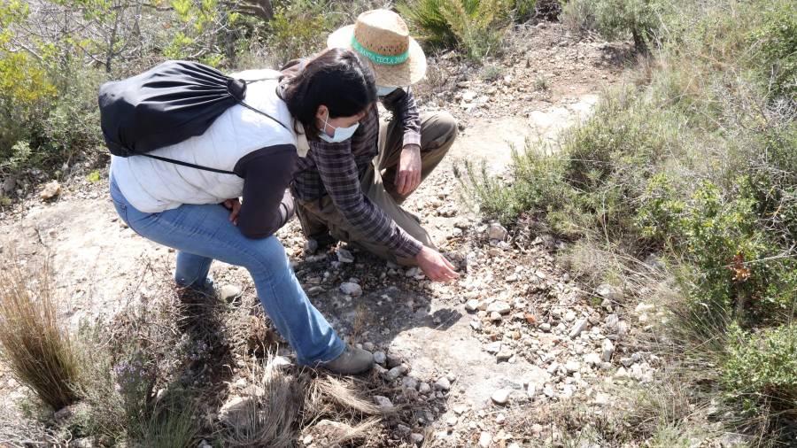 Los investigadores Anna Gutiérrez y Jordi López en uno de los fragmentos del acueducto descubiertos. FOTO: ACN