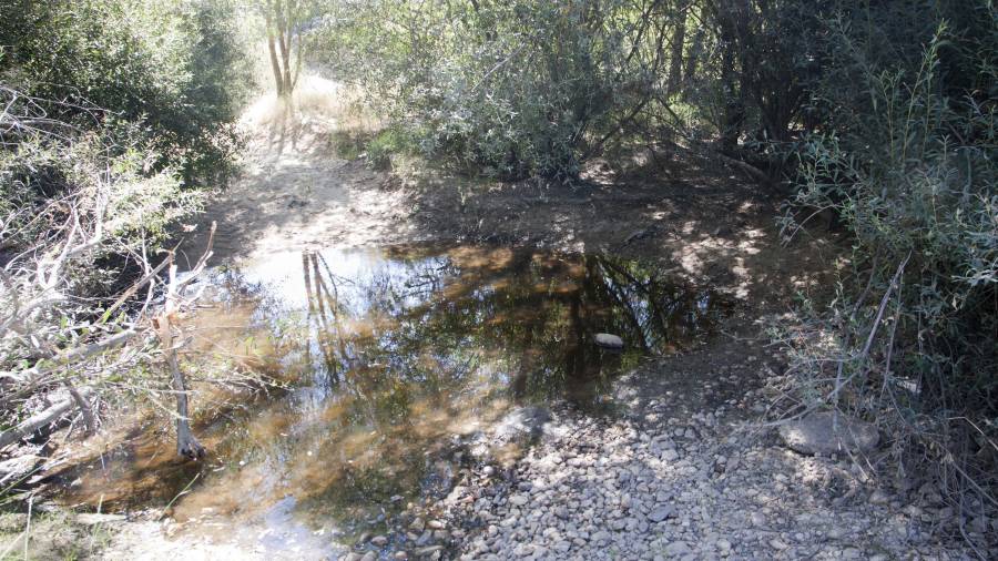 El riesgo de que España entre en situación de sequía extrema aumenta. Foto: EFE