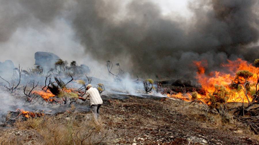 Un hombre trata de sofocar las llamas del incendio desatado la población de Almeidinha, en el distrito de Guarda. FOTO: EFE