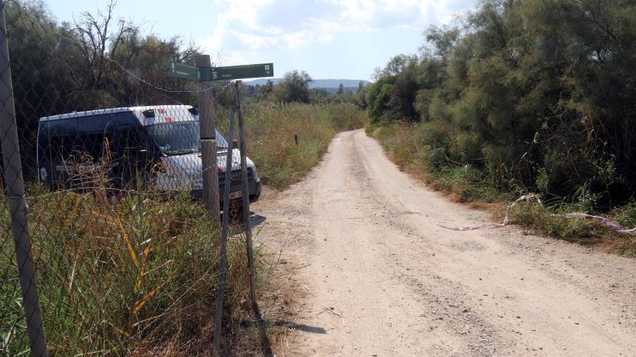 Imagen del camino de la partida de Sebes de Flix, donde se encuentra la masía en la que se encontró el cuerpo sin vida de un hombre. Foto ACN