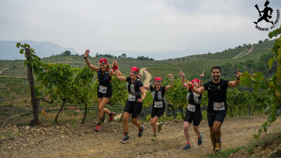 Un grupo de participantes disfrazados de piratas entre los viñedos. FOTO: BLANCA DE LA SOTILLA