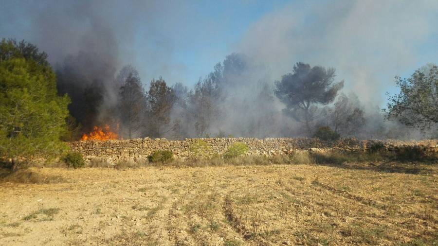 Las llamas del segundo incendio declarado en el Camí del Moro, en Torredembarra.