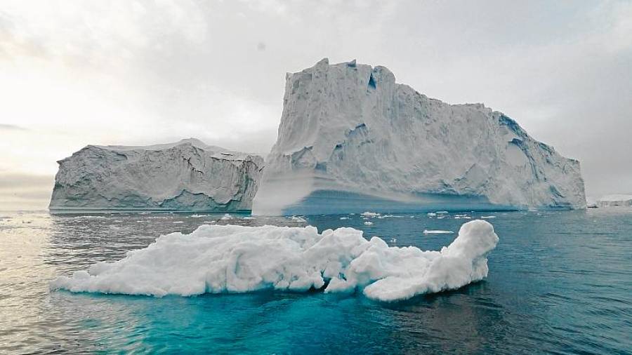 Los investigadores recopilaron una gran cifra de muestras en el Ártico y encontraron un foco de biodiversidad. FOTO: Getty Images