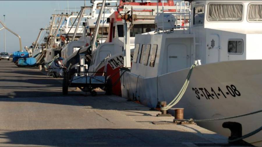 L'accident va tenir lloc al port pesquer de Sant Carles de la Ràpita. Foto: Joan Revillas/DT