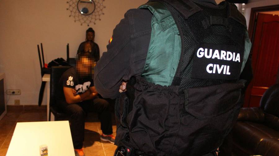 La Guardia Civil ha intervenido 266 plantas de marihuana, y 10 gramos de cocaína