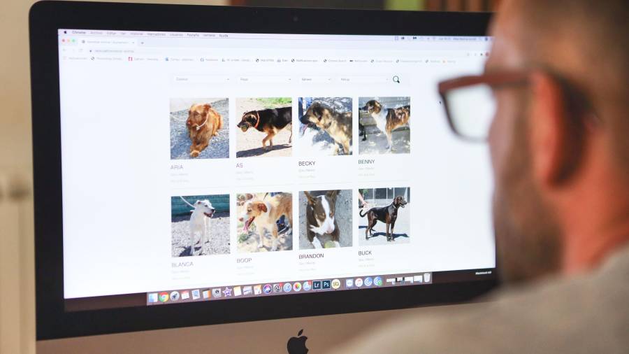 La plataforma ‘Benestar Animal’ se ha habilitado en el portal de ‘reus.cat’ y contiene información sobre recuperación y adopción de mascotas. FOTO: A. MARINÉ