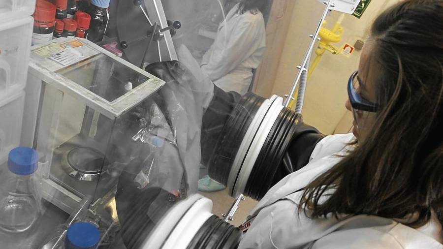 Una joven, en uno de los laboratorios de la URV. Foto: Pere Ferré