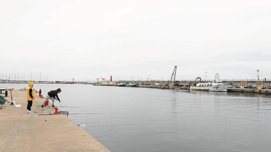 El moll de Cambrils, sense les barques d’arrossegament en un dia de pesca. Cada cop en queden menys. FOTO: Alba Mariné