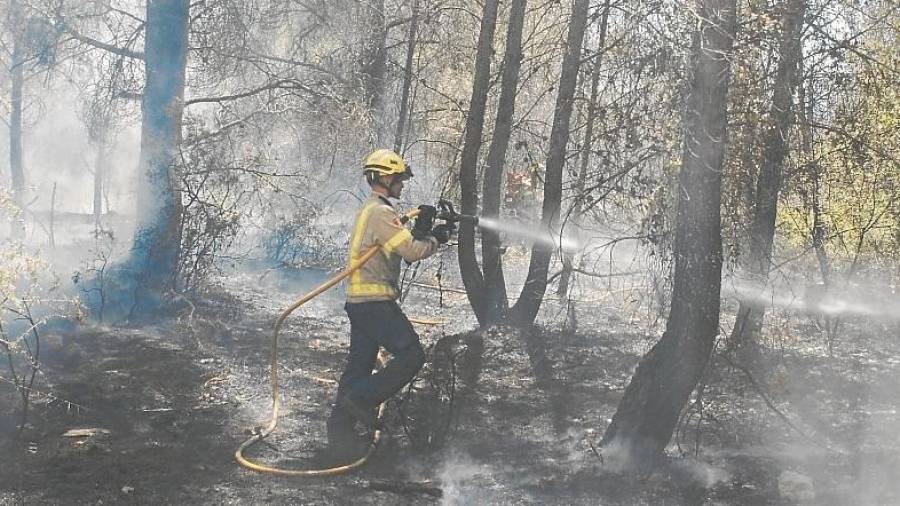 Un bombero ayer en el incendio de Sant Salvador. FOTO: Àngel Juanpere