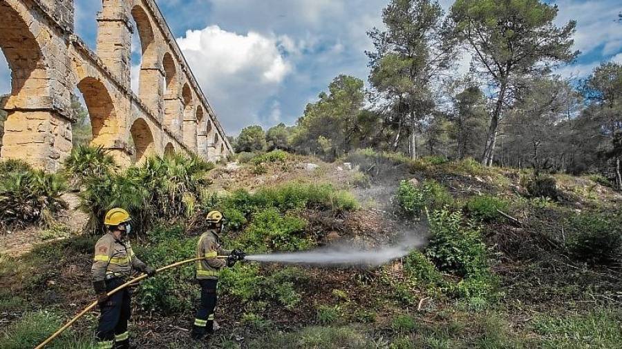 Els projectes que l’Ajuntament ja ha posat en marxa són: Prevenció d’incendis forestals. Foto: Manel R. Granell