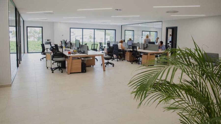 Les oficines de les noves instal·lacions de l’empresa a Vila-rodona. FOTO: CEDIDA