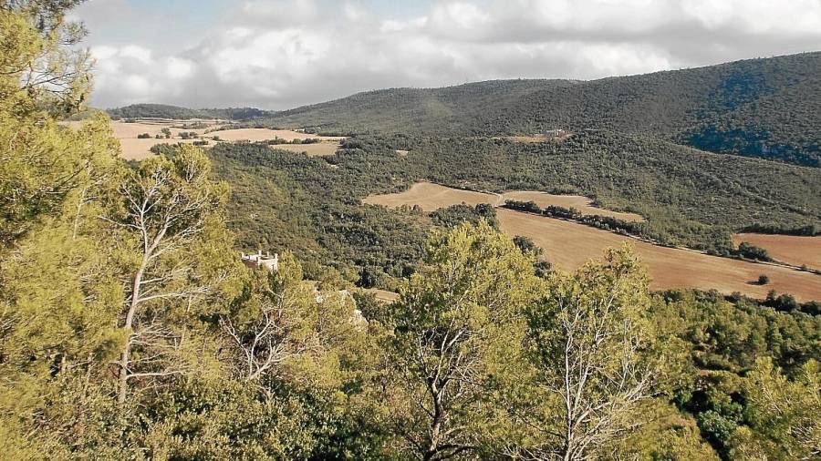 Des de la cova ermitana, sant Magí albirava aquesta vall i la serra de Brufaganya. foto: J. Bertran