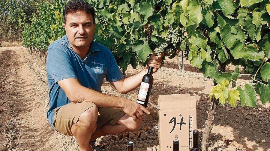 Moisés Virgili, en una de las viñas de garnacha, de donde se sale excelente vino. Foto: Joan Boronat