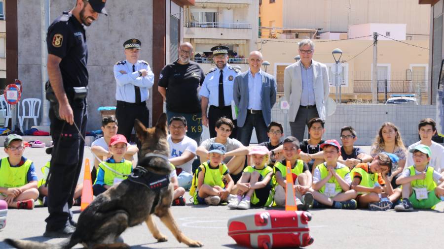 La unidad canina de los Mossos d'Esquadra enseña a los alumnos de primaria de la Escola l'Antina como trabajan estos animales para detectar drogas.