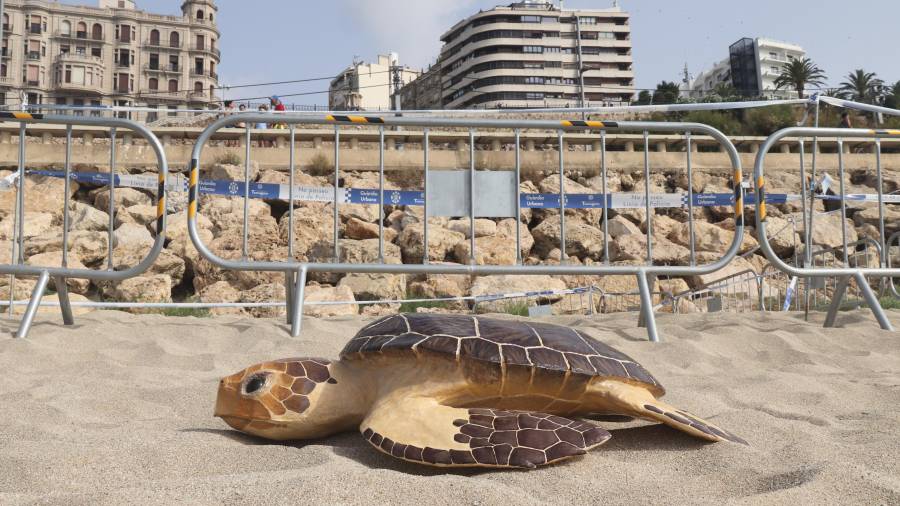Imagen de la réplica de una tortuga boba sobre un nido en la playa del Miracle de Tarragona. ACN