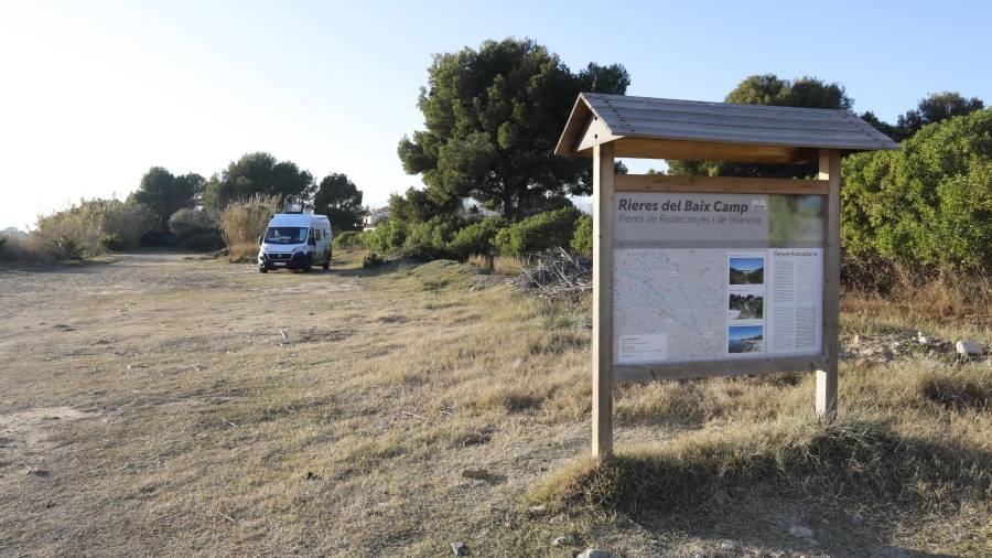 Estos terrenos arbolados al final de la desembocadura de la riera de Riudecanyes marcan el límite del camping frente al mar. foto: pere ferré