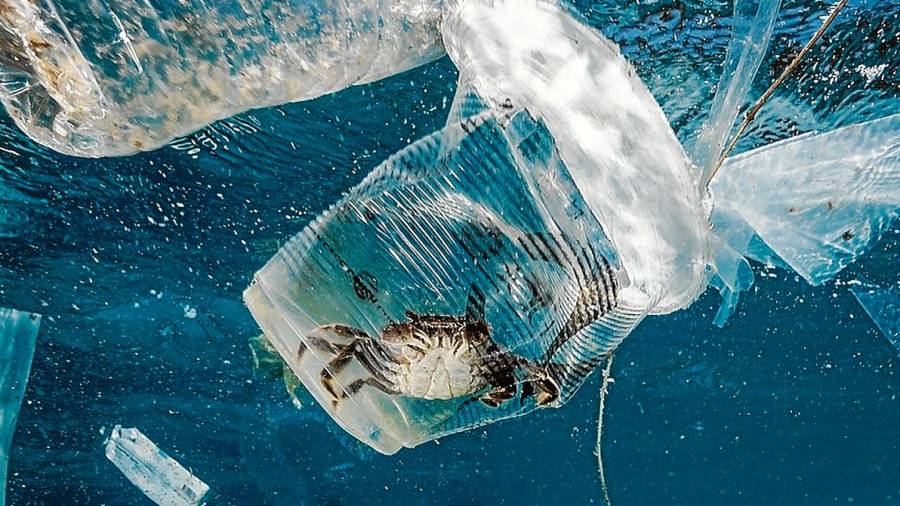 Un cangrejo permanece atrapado en un vaso de plástico en el mar en el Pasaje de Isla Verde en Filipinas la pasada semana. FOTO: EFE