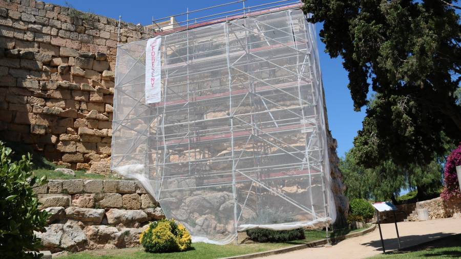 El Ayuntamiento de Tarragona denunciará a la empresa que agujereó la muralla y el relieve de Minerva. Foto ACN