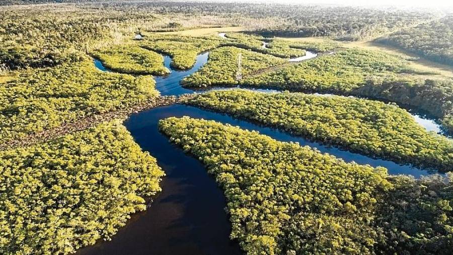 La deforestación de la Amazonía ha alcanzado casi el 17% de su vegetación en el último medio siglo. FOTO: Thinkstockphotos