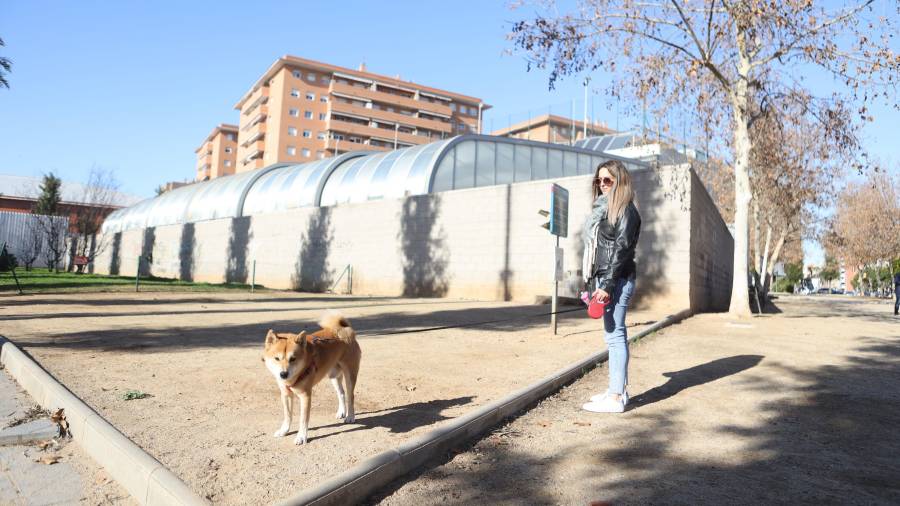 rea para perros sin vallar en El Serrallo. Foto: Alba Mariné