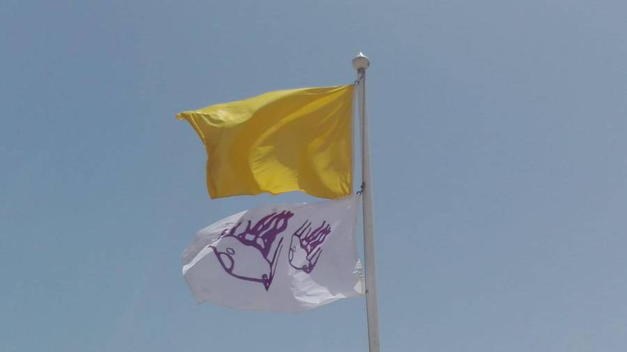 Imagen de la bandera desplegada. DT