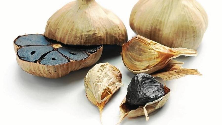 El estudio medirá el beneficio de la ingesta de ajo negro en las personas con colesterol «malo». FOTO: Cedida