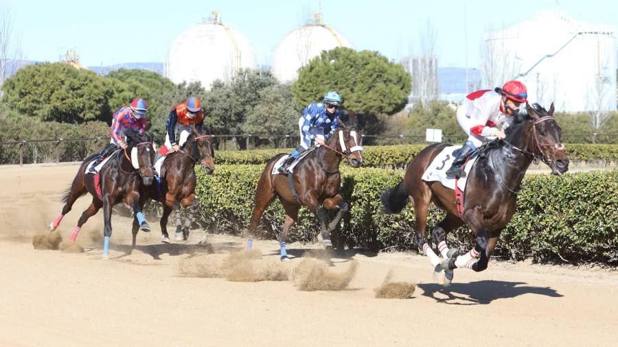 Las carreras de caballos de Vila-seca son elemento festivo. FOTO: Alba mariné