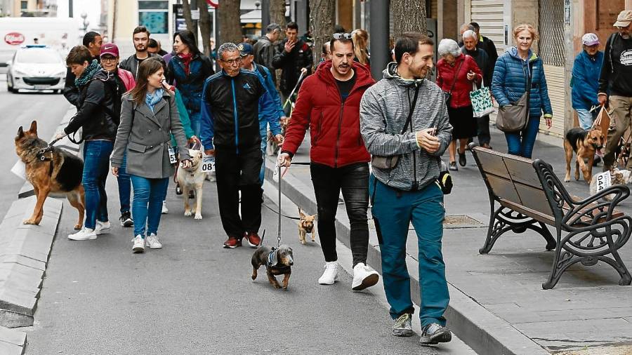 Tramo final de la VI Passejada de Gossos hacía la Plaça Corsini. FOTO: FABIÁN ACIDRES