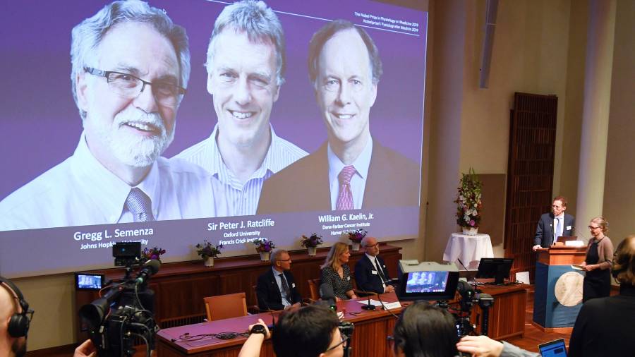 Momento de la presentación de los tres nuevos premios Nobel de Medicina. EFE