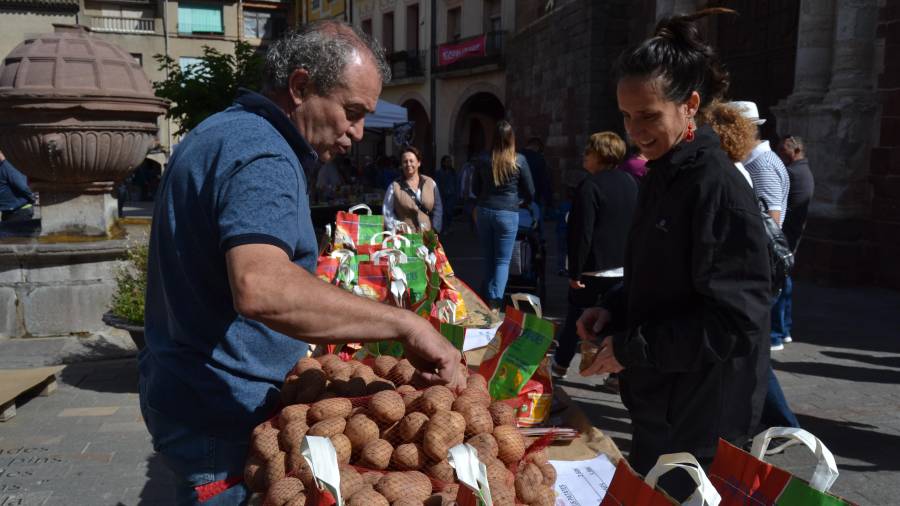 Visitantes interesándose por la patata de Prades, ayer en la Festa de la Patata. FOTO: Montse Plana