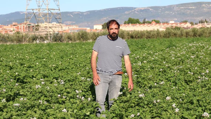Imagen de Josep Maria Figueras, quien lleva ‘I un rave’ en Valls. El huerto es autosostenible energéticamente. FOTO:A.T.
