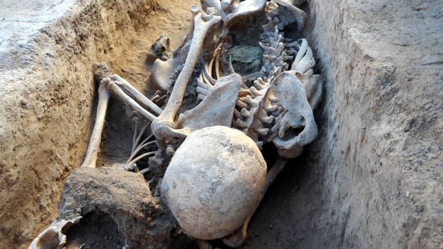 Uno de los esqueletos localizados en fosas de la Guerra Civil. FOTO: Departament de Justícia de la Generalitat