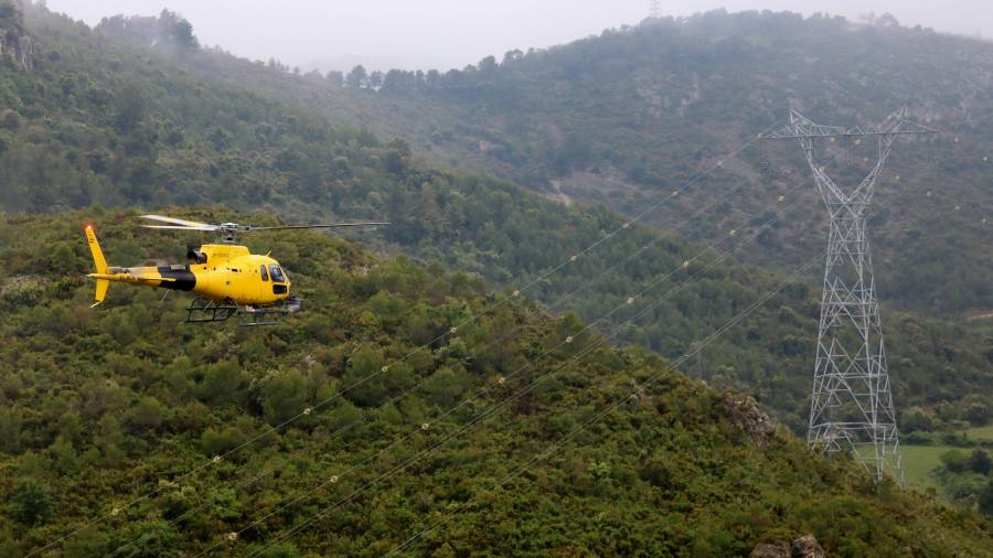 Un helicóptero revisa el estado de un tendido eléctrico en zona boscosa.