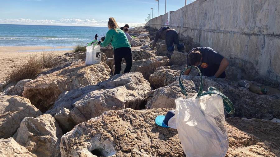 Los voluntaros se emplearon a fondo en la limpieza tanto en la arena como entre las rocas. FOTO: CEDIDA