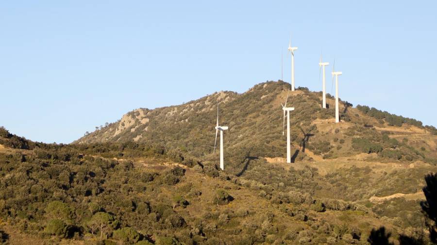 Actualment hi ha 9 projectes d’energies renovables que podrien arribar a la Conca de Barberà. Alguns ja s’han aprovat i d’altres estan pendents de la Generalitat per tenir llum verda. FOTO: ALBA MARINÉ