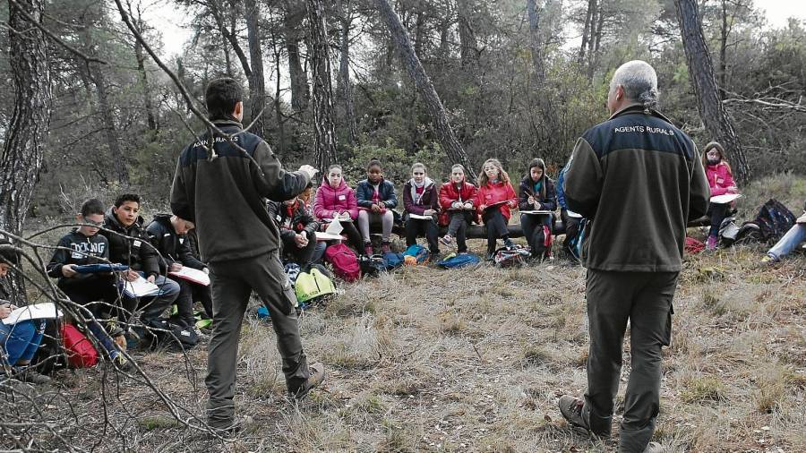 Els alumnes, a primera hora del matí, van escoltar atentament els agents rurals sobre l’explicació de la flora i la fauna del bosc de Vinaixa. FOTO: alba tudó