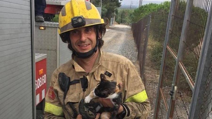 Uno de los bomberos con el gato rescatado. Foto: BBVV Alcover