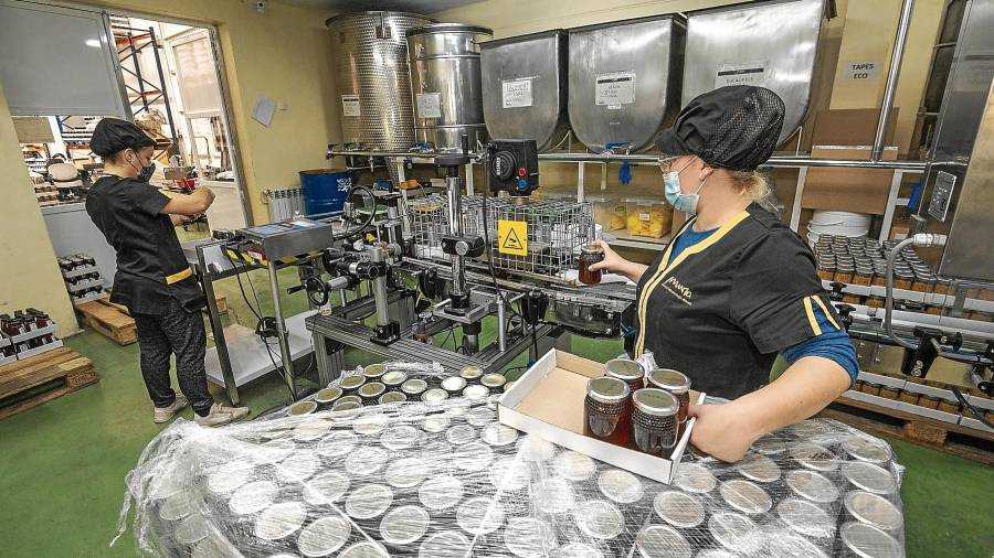 Proceso de envasado de miel en las instalaciones de Mel Muria en El Perelló. Fotos: Joan Revillas